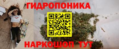 2c-b Кинель
