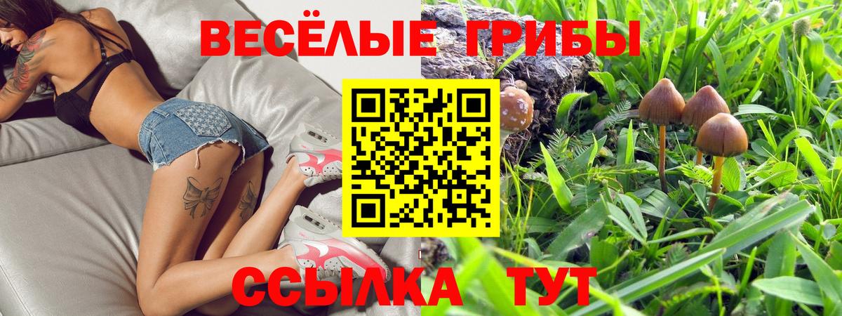 Дедовск  Псилоцибиновые грибы мицелий  Вход с VPN  Галлюциногенные грибы мухоморы 